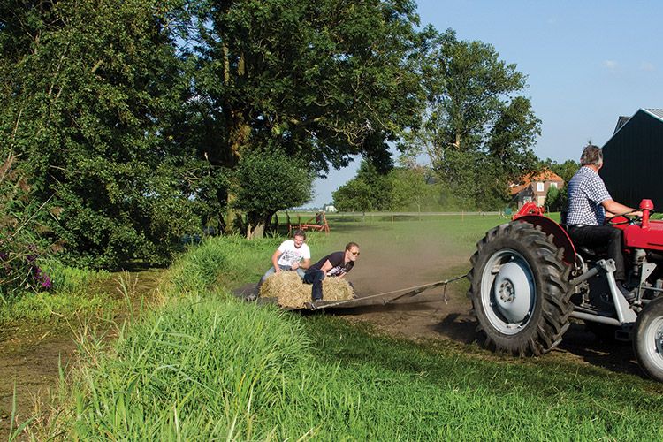 Pelleboer - Voorbeeld 1 voor drie kolommen